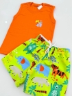 Conjunto Laranja Animais Regata