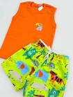 Conjunto Laranja Animais Regata