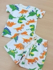 Conjunto Lúdico Dinossauros