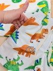 Conjunto Lúdico Dinossauros
